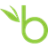 BambooHR