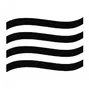 Ringg.AI