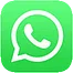 Braintree WhatsApp Integration
